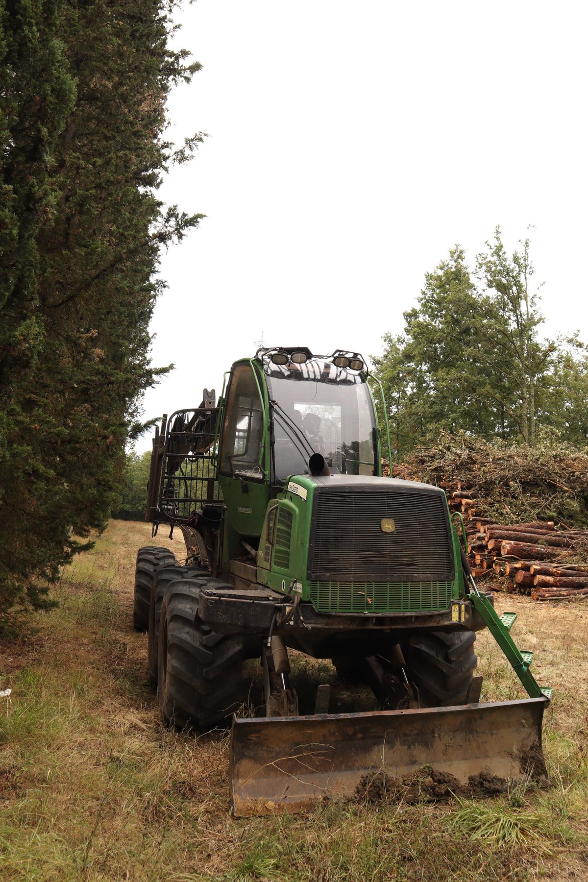 Green forestry forwarder working in a woodland clearing beside stacked cut logs